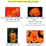rose.png