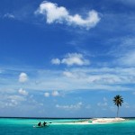 3180389708_7f877c71a1_z.jpg