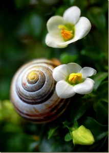 Sekmadienis su StumbleUpon #83 2933821237749974s2