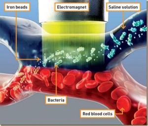 Naujas metodas leidžia pašalinti bakterijas iš kraujo su elektromagnetu electromagnet