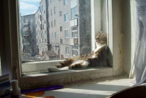 038_pics