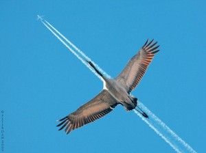 9103339-lg