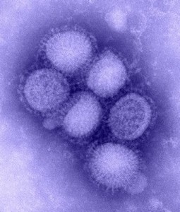 B00528_H1N1_flu_blue_med