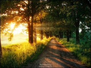 Sekmadienis su StumbleUpon #105 Beautiful_Day_by_Dr4kon