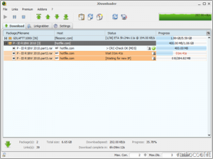 JDownloader – siuntimosi iš rapidshare, megaupload ir kitų bylų talpinimo svetainių pagalbininkas jd
