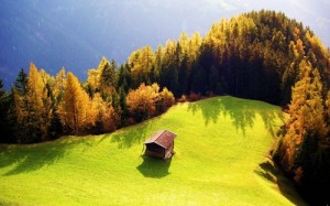 beautiful_landscape-wide